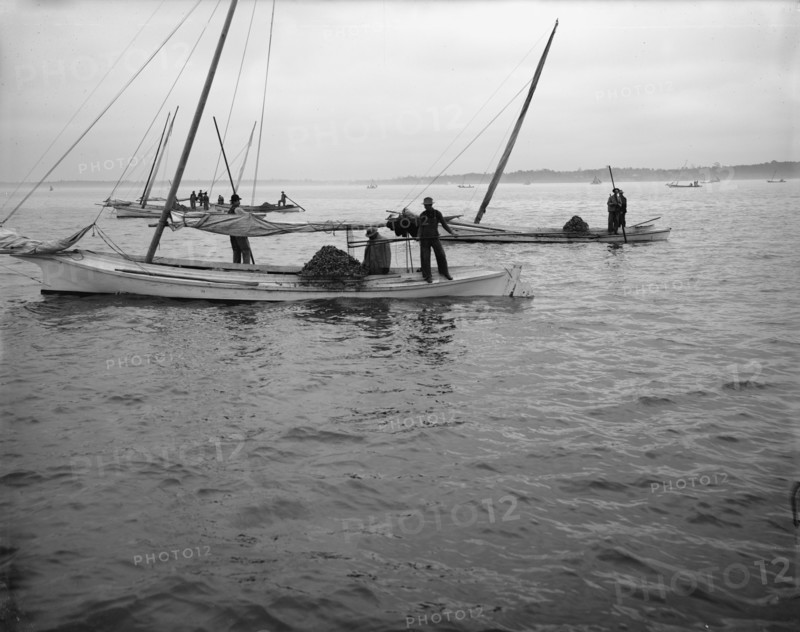 Oyster dredging, between 1900 and 1910. Creator: Unknown.