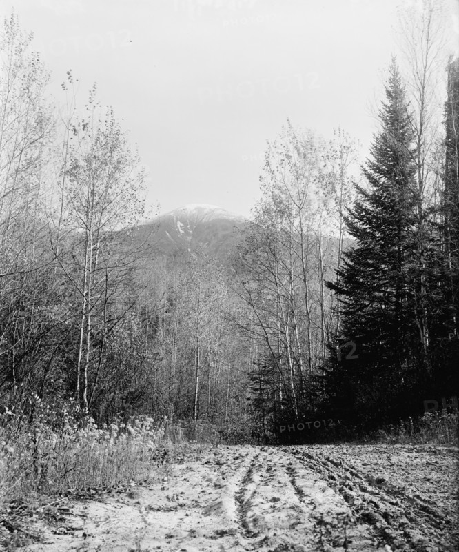 Mount Pleasant from base road, White Mountains, ca 1900. Creator: Unknown.