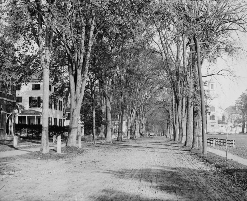 North Main Street, Dartmouth College, ca 1900. Creator: Unknown.