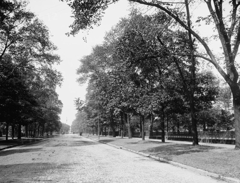 Euclid Avenue, Cleveland, Ohio, c1900. Creator: Unknown.