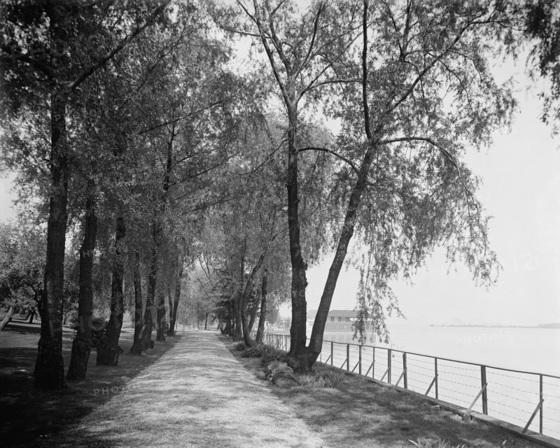 Wessonside Willow Road, Wesson estate, between 1900 and 1910. Creator: Unknown.
