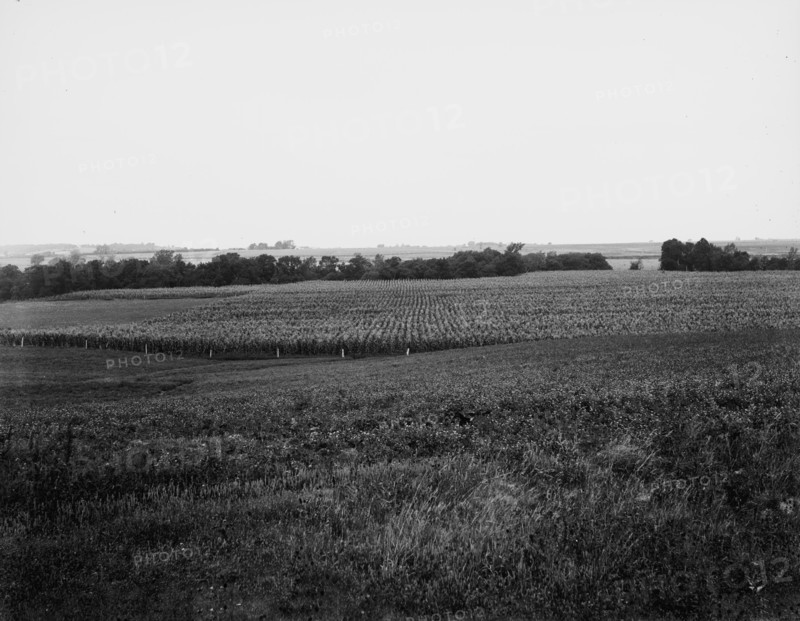 Curve to be straightened, near Oak Grove, Mo., between 1900 and 1905. Creator: Unknown.