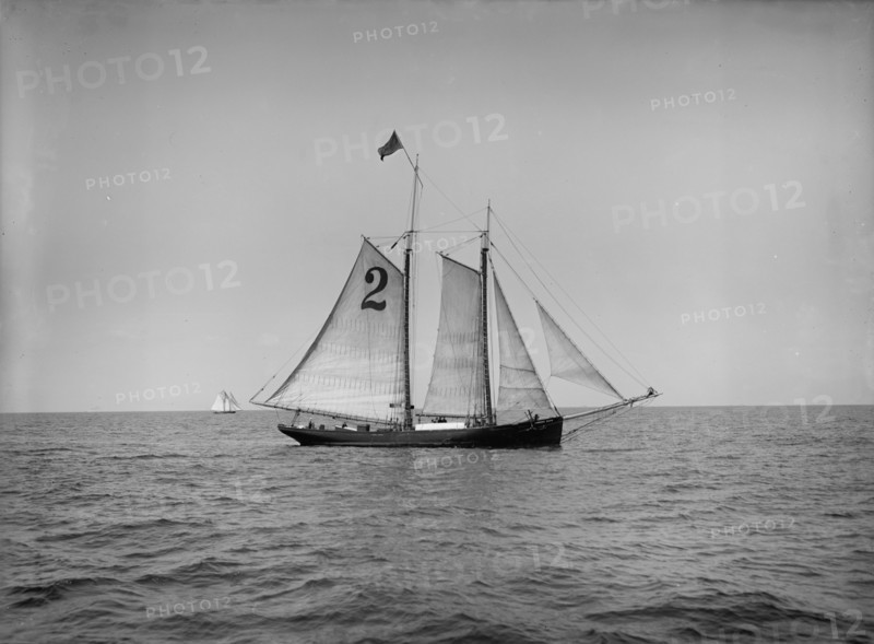Pilot boat no. 2, between 1900 and 1905. Creator: Unknown.