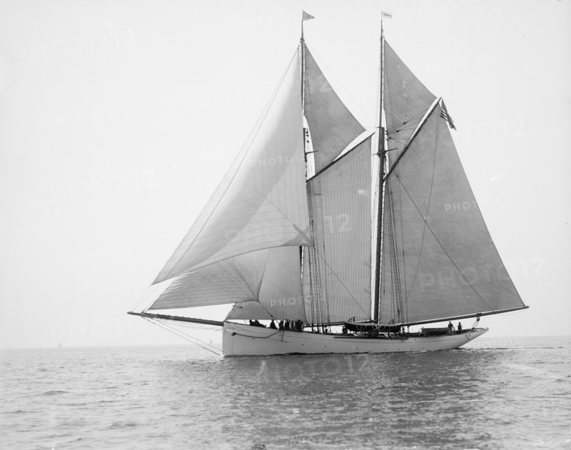 Alert, 1894 Aug 11. Creator: John S Johnston.