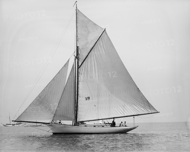 Daffodil, 1894 Aug 4. Creator: John S Johnston.