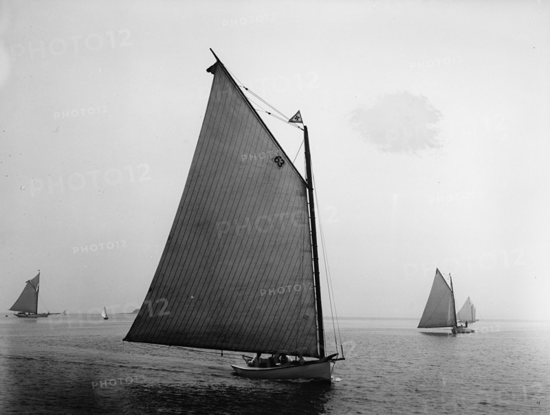 Elsie, 1898 July 30. Creator: John S Johnston.