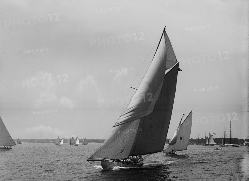 Kestrel, 1899 July 4. Creator: John S Johnston.