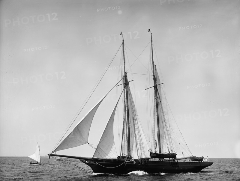 Lady Evelyn, 1899 July 29. Creator: John S Johnston.