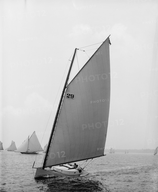 Molly Bawn, 1895 July 27. Creator: John S Johnston.