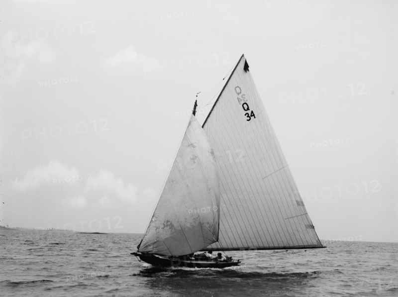 Shark, 1897 June 29. Creator: John S Johnston.