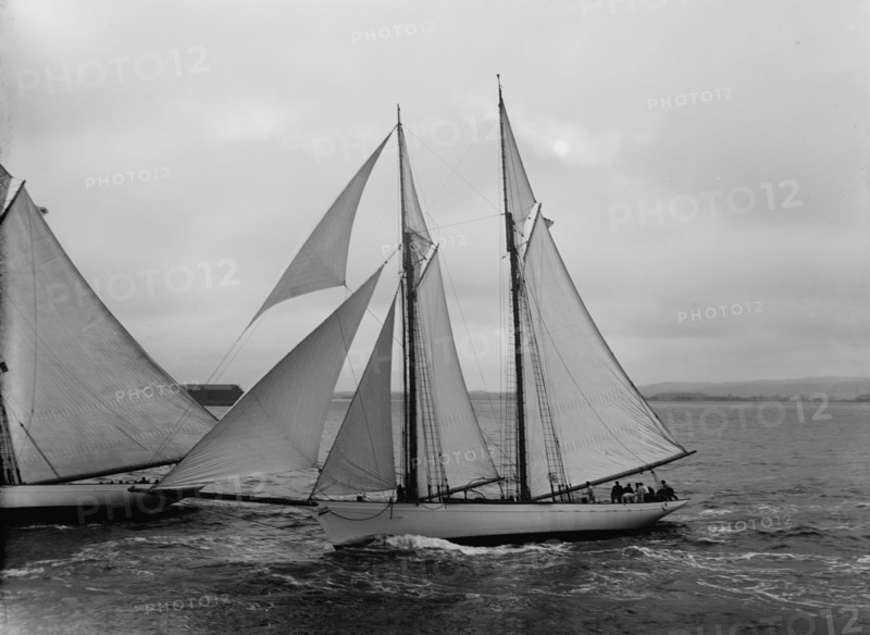 Viator, 1891. Creator: John S Johnston.