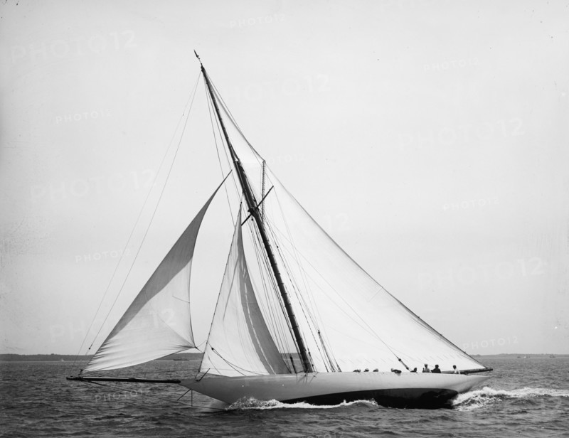 Wasp, 1896 July 25. Creator: John S Johnston.
