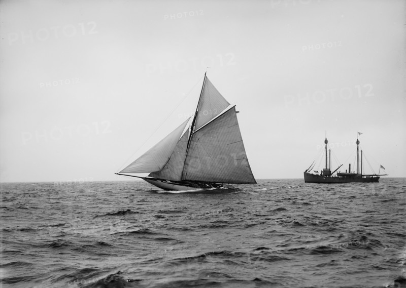 Wasp, 1894 Sept 18. Creator: John S Johnston.
