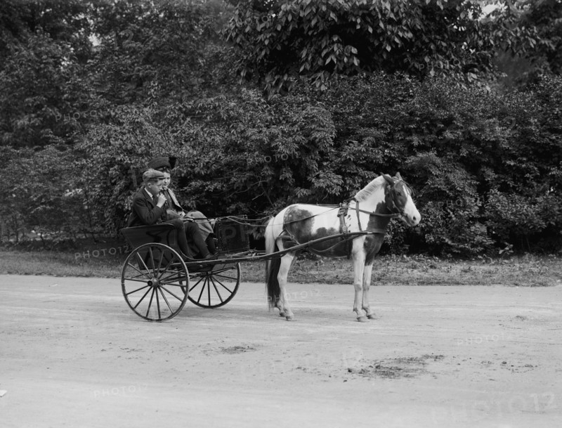Pony cart, Belle Isle Park, Detroit, Mich., between 1900 and 1908. Creator: Unknown.