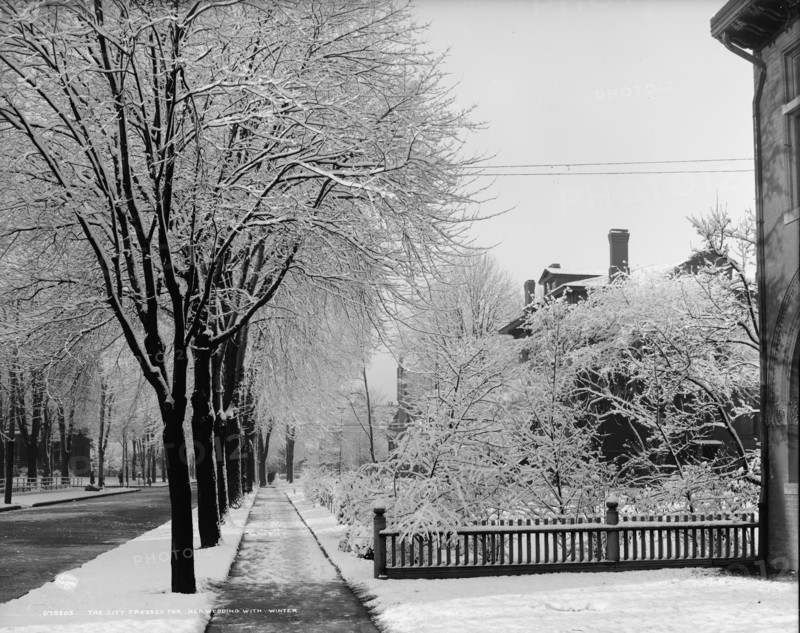 The City dressed for her wedding with winter, between 1900 and 1910. Creator: Unknown.