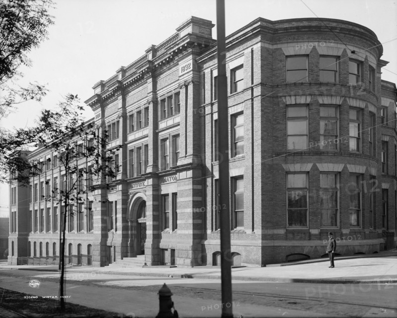 Wistar Institute of Anatomy, U. of Pa., Philadelphia, Pa., between 1900 and 1910. Creator: Unknown.