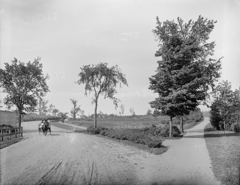 Fresh Pond Drive, Cambridge, Mass., between 1900 and 1920. Creator: Unknown.