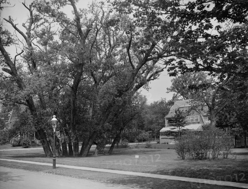 Hubbard Park, Cambridge, Mass., between 1900 and 1920. Creator: Unknown.