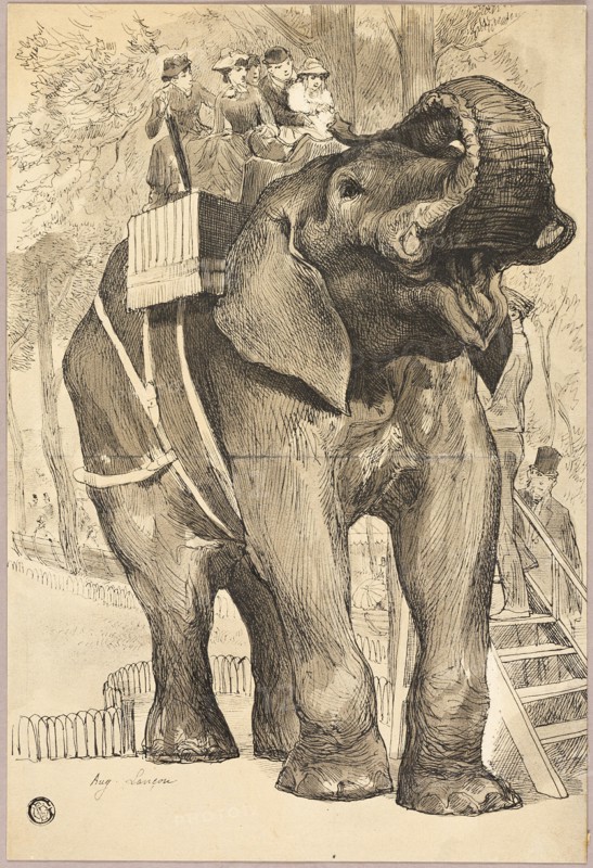 Elephant with Riders, n.d. Creator: Auguste-Andre Lancon.