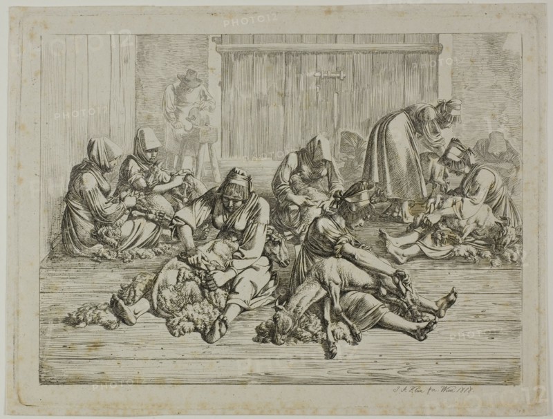 Sheepshearing, 1818. Creator: Johann Adam Klein.