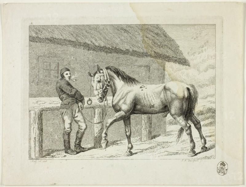 Riding School and Horses, 1806. Creator: Johann Adolph Darnstedt.