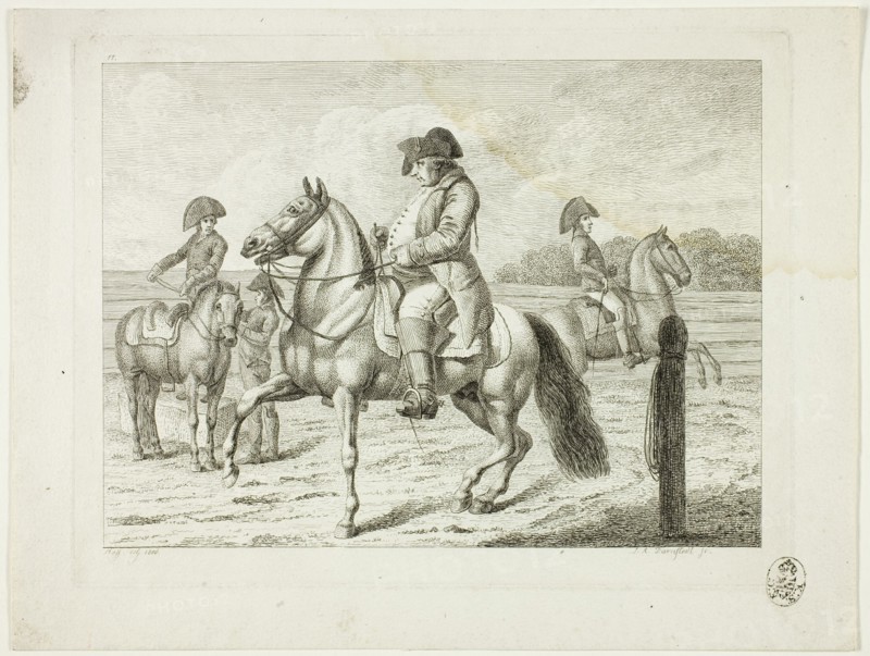 Riding School and Horses, 1806. Creator: Johann Adolph Darnstedt.