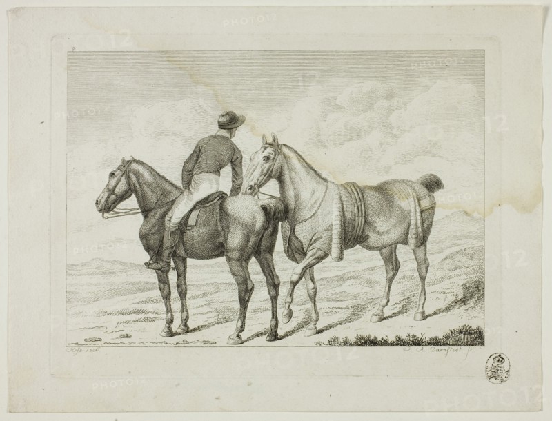 Riding School and Horses, 1806. Creator: Johann Adolph Darnstedt.