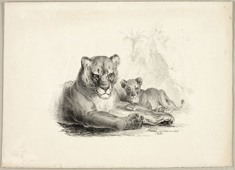 Lion with Cubs, 1831. Creator: Johann Höchle.