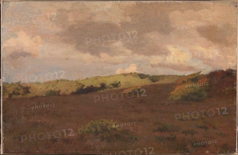 Heathland, autumn, 1902. Creator: Christian Mourier-Petersen.