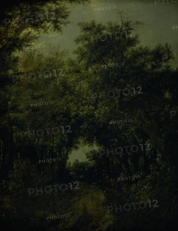 Road in an Oak Forrest, 1646. Creator: Jacob van Ruisdael.