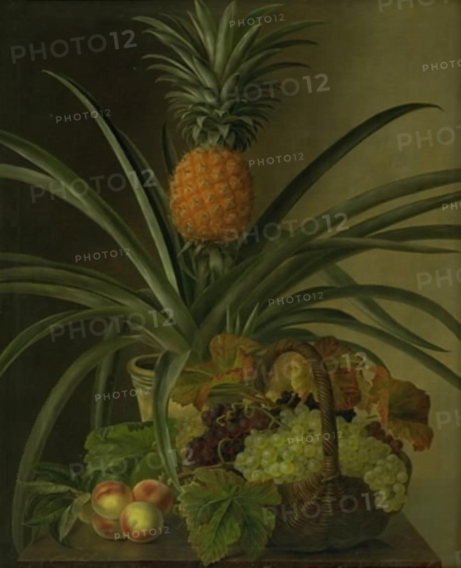 A pineapple and other fruits, 1832. Creator: Johan Laurentz Jensen.