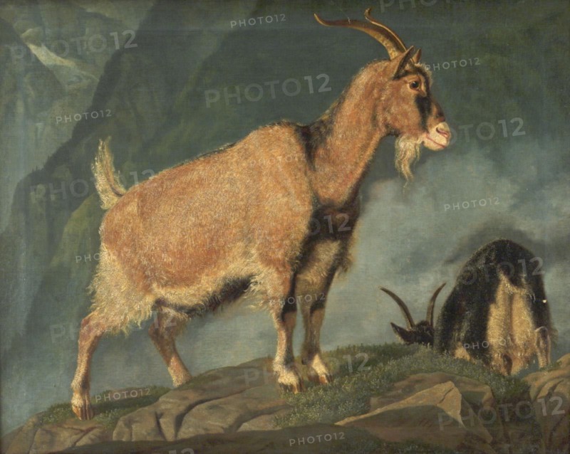 Goats in the Alps, 1834. Creator: Christian Frederik Carl Holm.