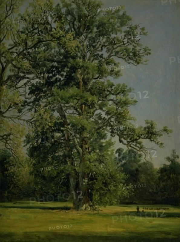 An Oak. View of the Garden at Wörlitz near Dessau, 1838. Creator: Johan Christian Dahl.