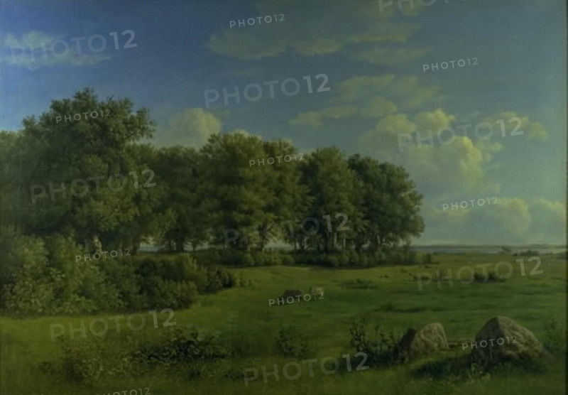 The Island of Brandso with Wedellsborg Forest, Funen, in the Distance, 1843. Creator: Dankvart Dreyer.