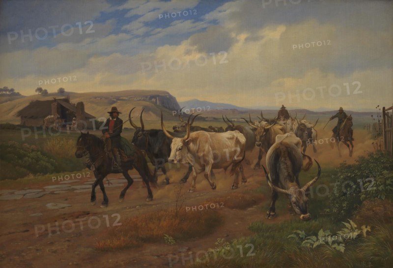 A Drove of Oxen in the Roman Campagna, 1845. Creator: Johan Thomas Lundbye.
