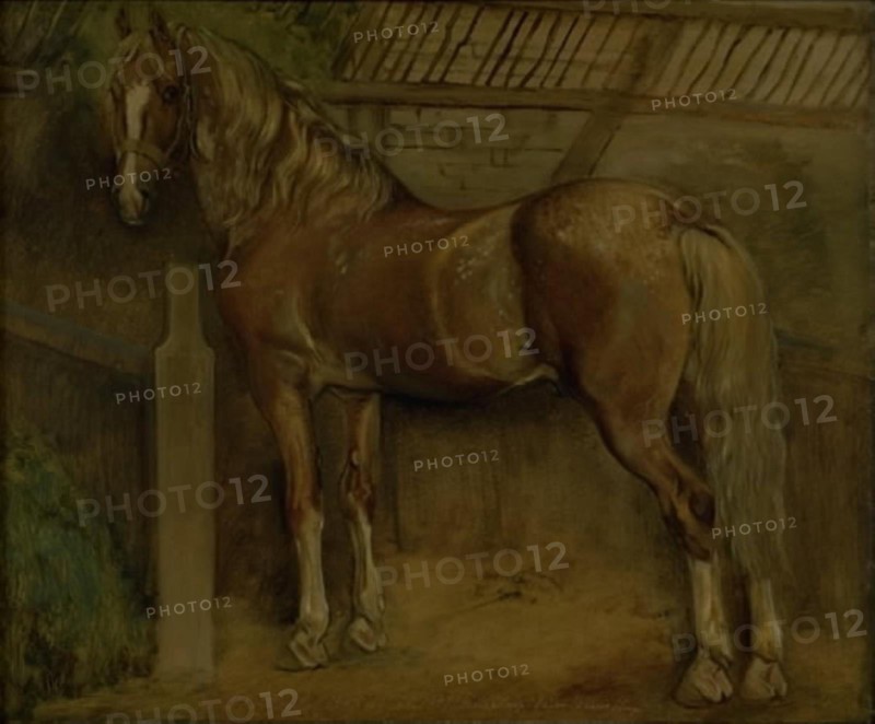 Sixteen-year-old stallion of the Knabstrup breed, 1847. Creator: Johan Thomas Lundbye.