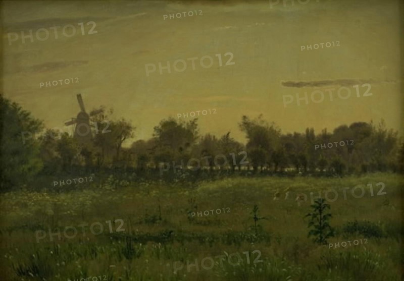 The Meadow near the Artist's House at Farimagsvej outside Copenhagen, 1855. Creator: Vilhelm Kyhn.