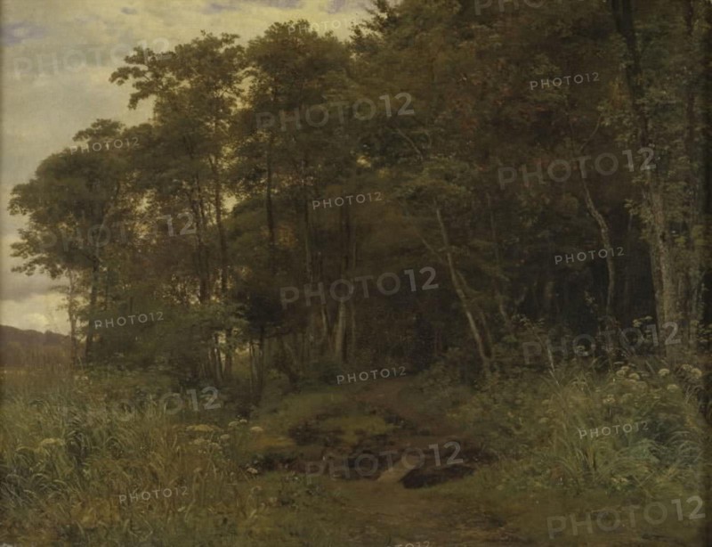 Thicket of alder trees, 1861. Creator: Anton Eduard Kieldrup.