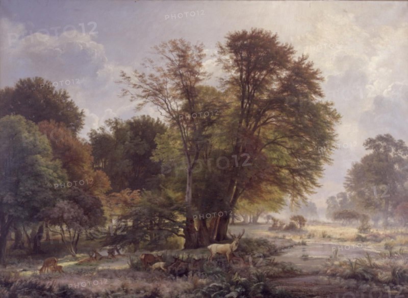 Autumn morning in the Jægersborg deer park, 1866. Creator: Carl Frederik Aagaard.