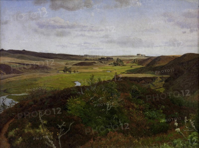 Dollerup Hills near Hald, 1869. Creator: Vilhelm Kyhn.