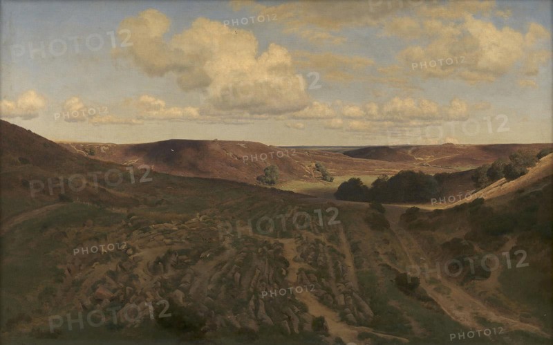 Landscape at Nejsum, Vendsyssel, 1899. Creator: Janus Andreas Bartholin la Cour.