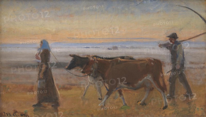 Cows Being Driven across the Moor, 1902. Creator: Michael Peter Ancher.