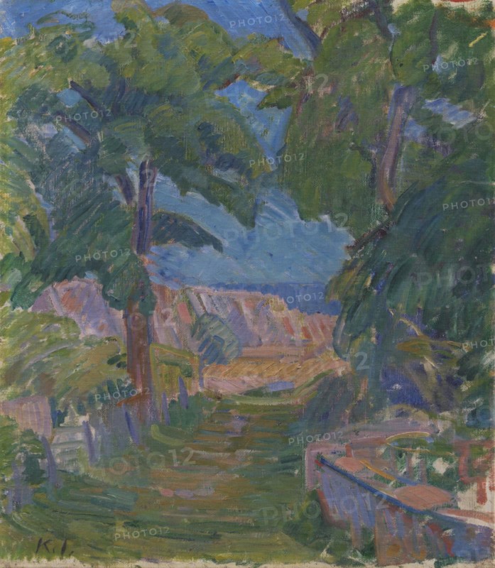 Landscape near "Mindet" on Christianso, 1911. Creator: Karl Isakson.