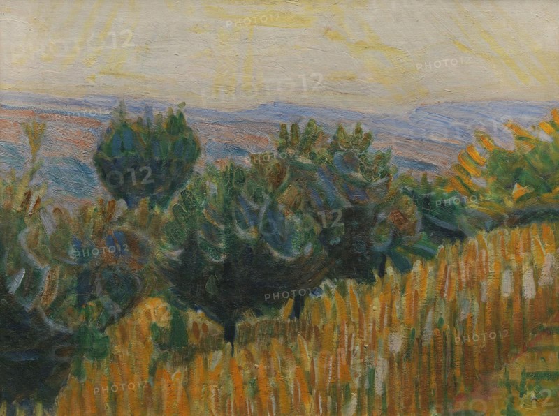 The Vine against the Light. A wheat field in the foreground. Villa Linda, Florence, 1923. Creator: Niels Larsen Stevns.