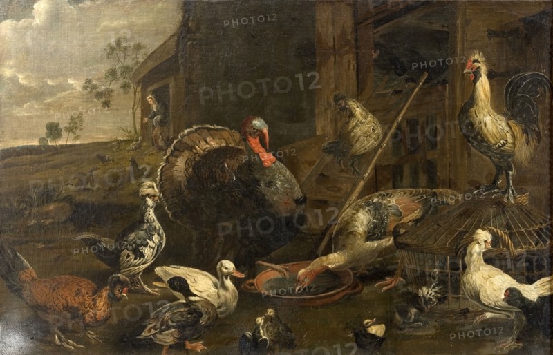 Hens, Ducks and a Turkey Cock, 1614-1652. Creator: Adriaen van Utrecht.