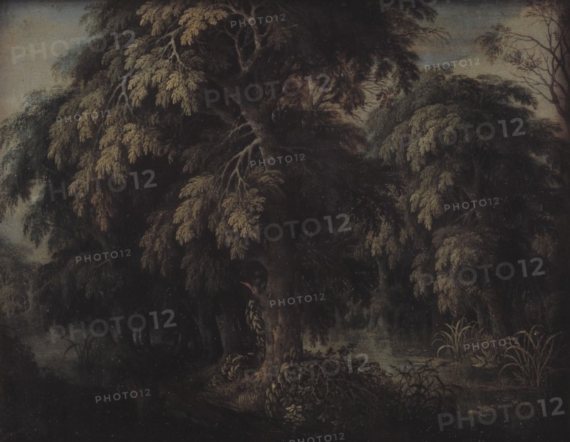 Wooded Landscape, 1615-1620. Creator: Alexander Keirincx.