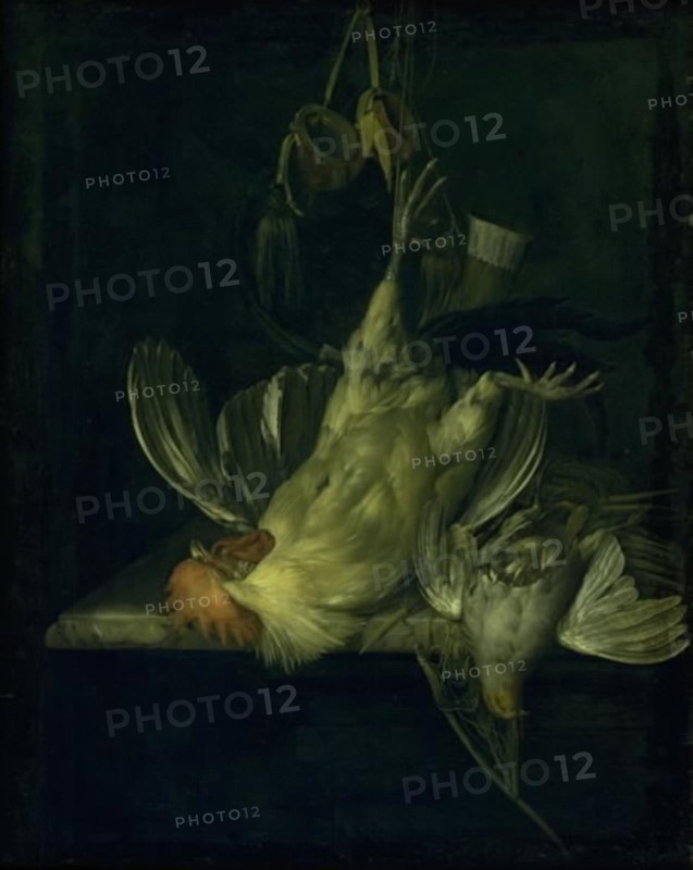 A Dead White Cock, 1642-1683. Creator: Willem van Aelst.