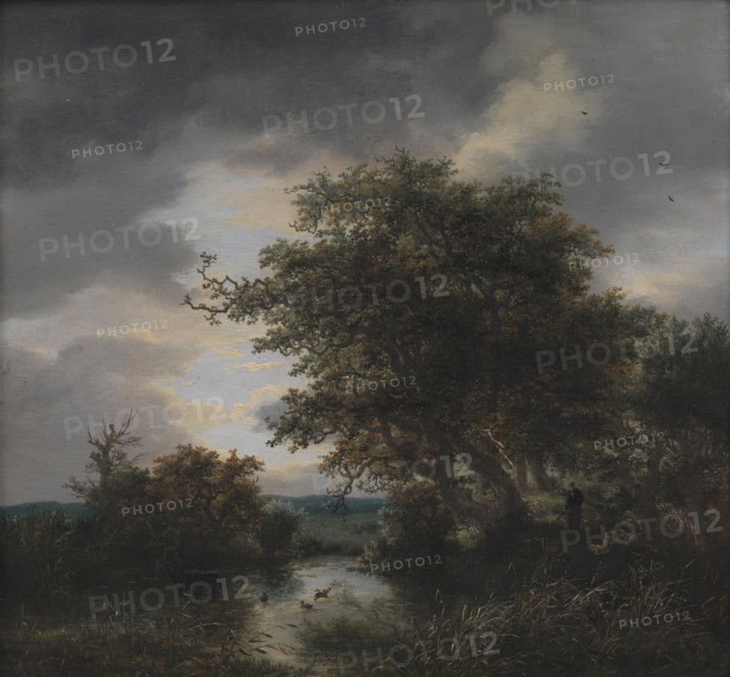 Oak Trees by a Pond, 1643-1682. Creator: Jacob van Ruisdael.