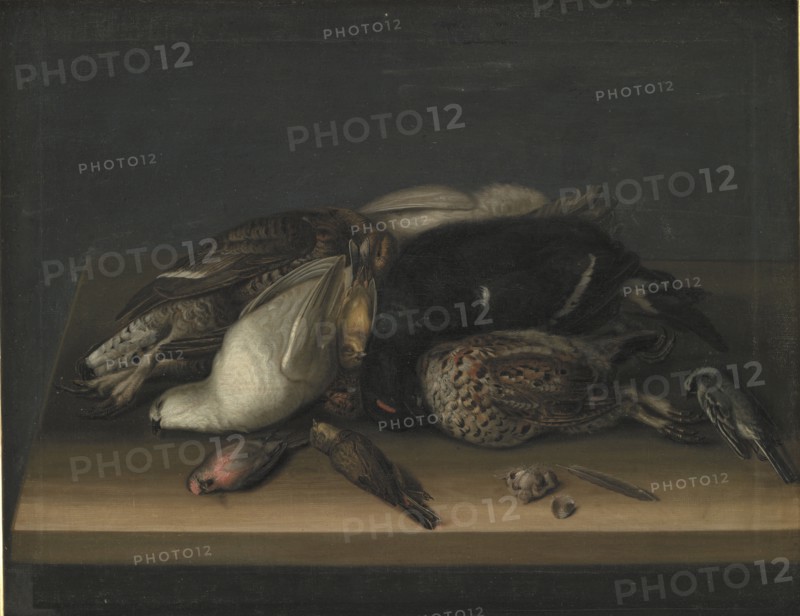 Wildfowl on a Wooden Table, 1648-1681. Creator: Jacob Biltius.