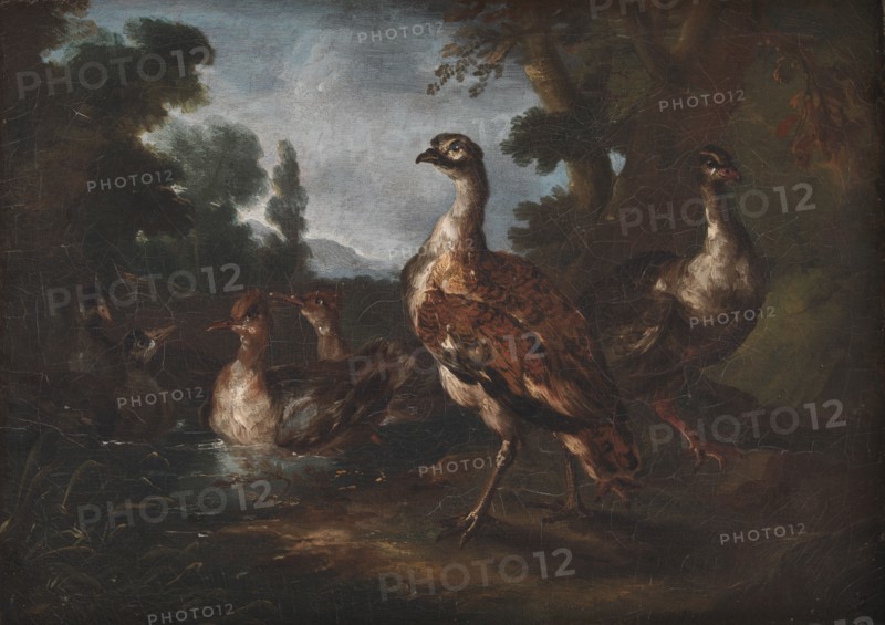 Landscape with Birds, 1665-1730. Creator: Angelo Maria Crivelli.